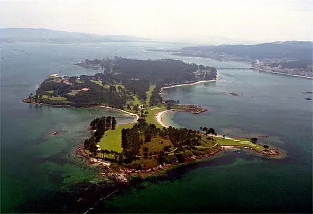 From Santiago: Tour to Rias Baixas with Boat Trip and Winery - 5