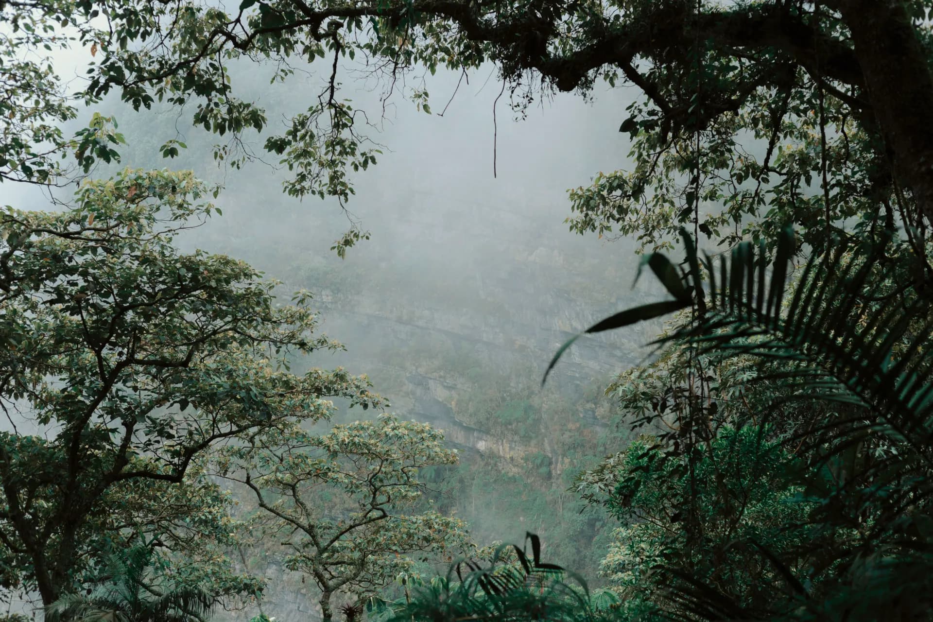 Costa Rica: " Pura vida" - 7